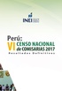 Perú: VI Censo Nacional de Comisarías 2017